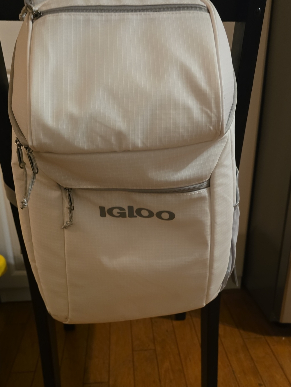 Igloo White and Light Gray Insulated Backpack Cooler